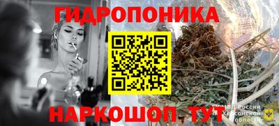 герыч Кингисепп