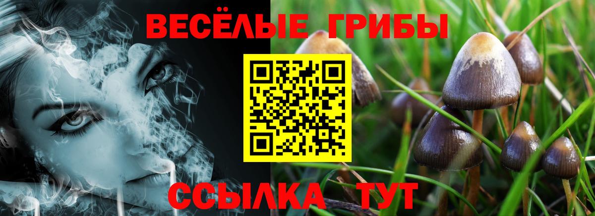 Галлюциногенные грибы мицелий  Вход с VPN  Бутурлиновка 